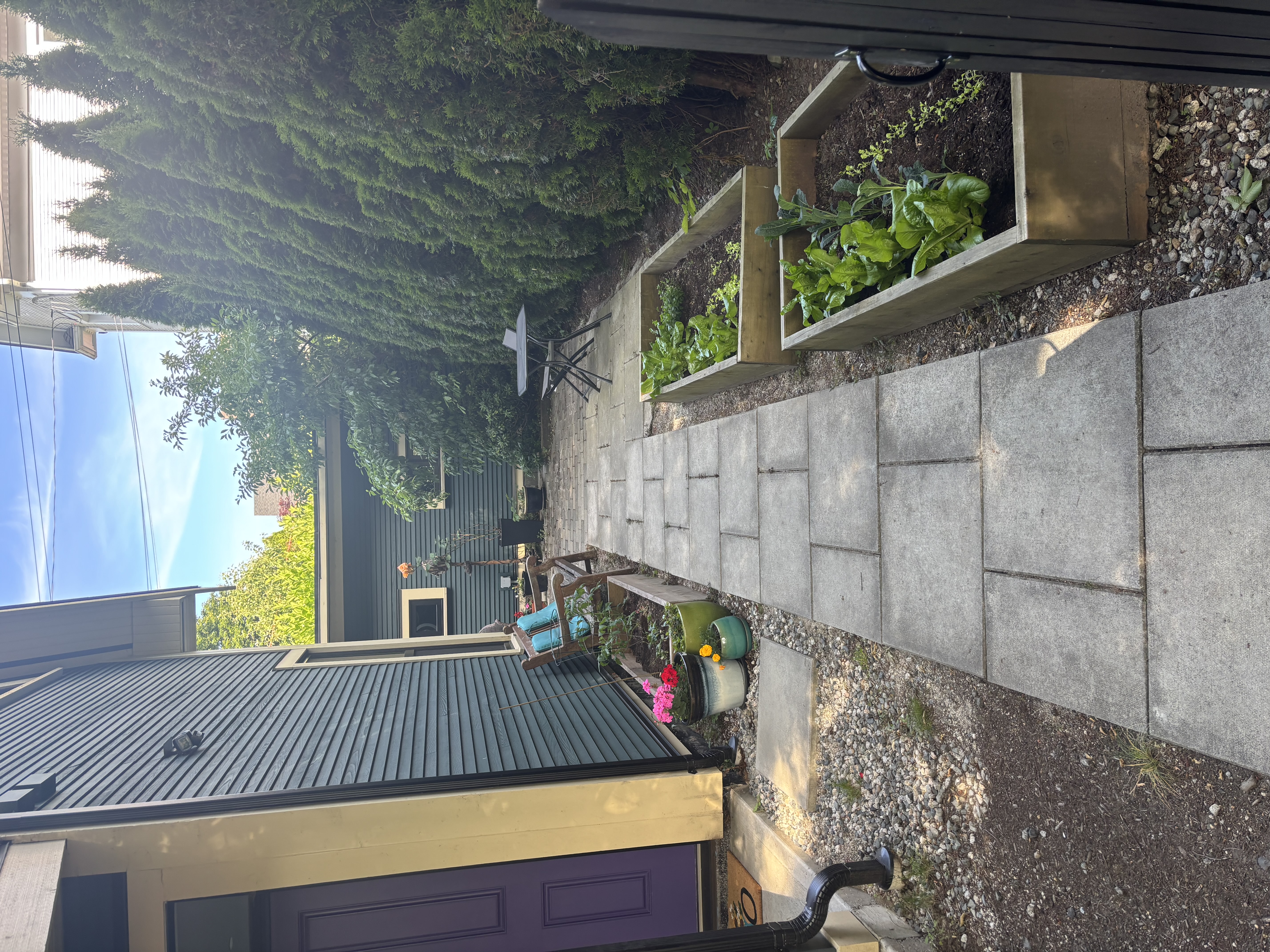 Garden beds along patio
